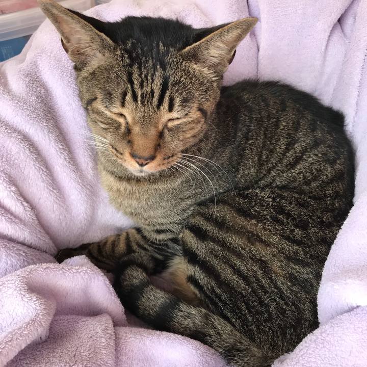 63ec1e48 94d8 41f5 91a7 0fcc6e76bf0f 1510016029246