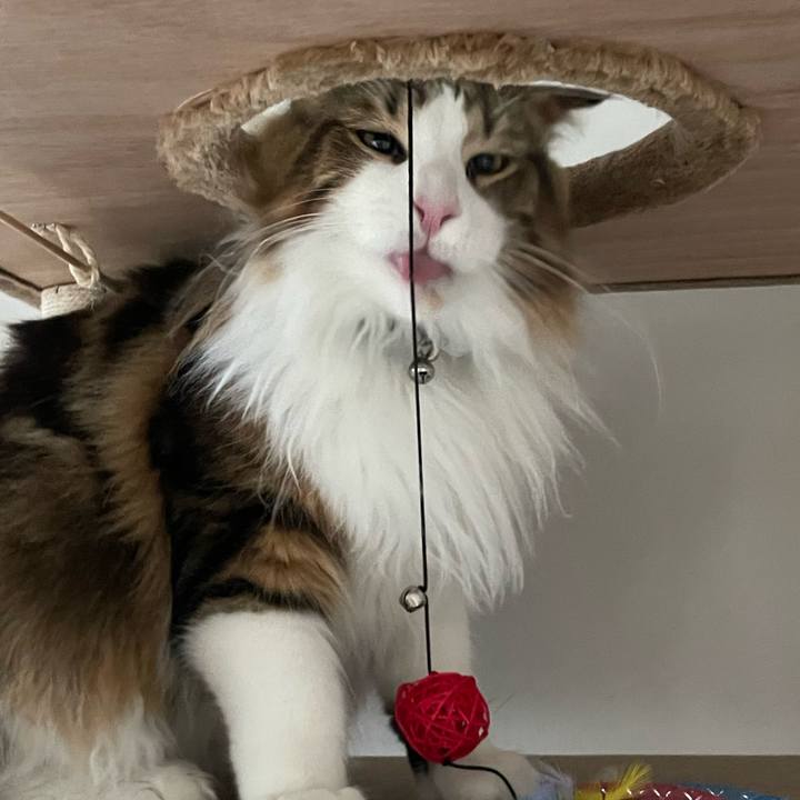 63ec33a2 310e 44e9 a1dc 959e2c04f93f 1653424636786