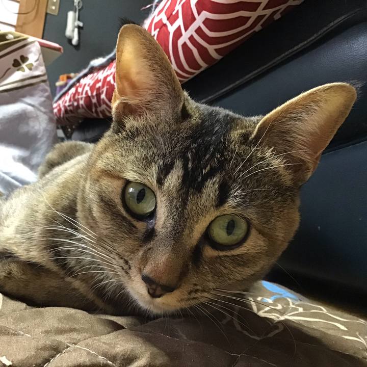 63ec89a3 42ec 4c71 aa3e c217bcc437e4 1585637001609