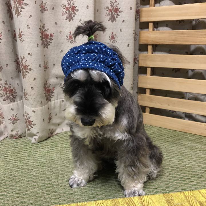 63ecb0ae e070 4ec1 8681 c556ae87acb5 1536405415537