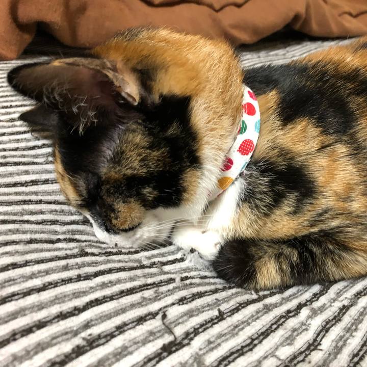 63ecdb97 a5f7 4c24 8ecd 961b9ff62af9 1560590977700