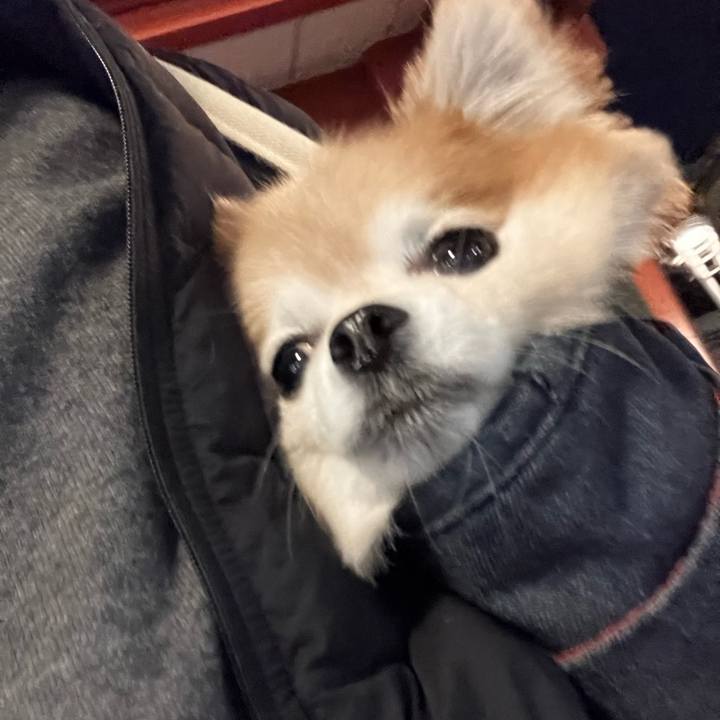 63ed2da5 f089 41a6 a59b b2a4d9a7d2a3 1766483090853