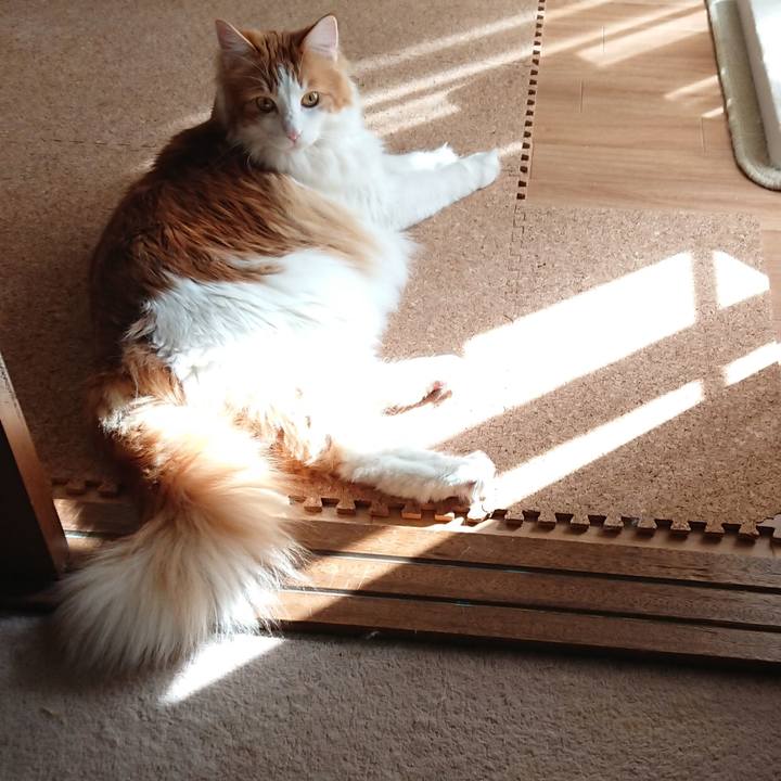 63ed2f32 e4dd 41ae 9c64 92cb643c8e6a 1518736467176