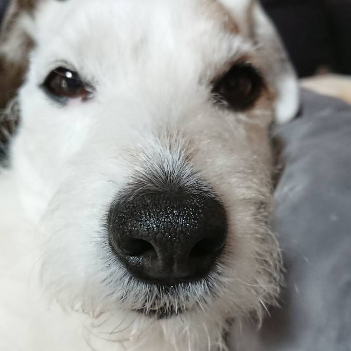 63ed4f2d d5d6 47cb 9bc7 8aad634916f9 1524438364229