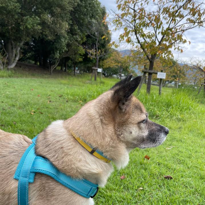 63ed7faa e4f1 4ead 86ca 17f23a026ead 1728892222015