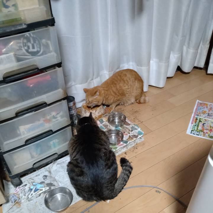 63ed815c 3336 49a2 a10c 224bae0b92cb 1703630756030