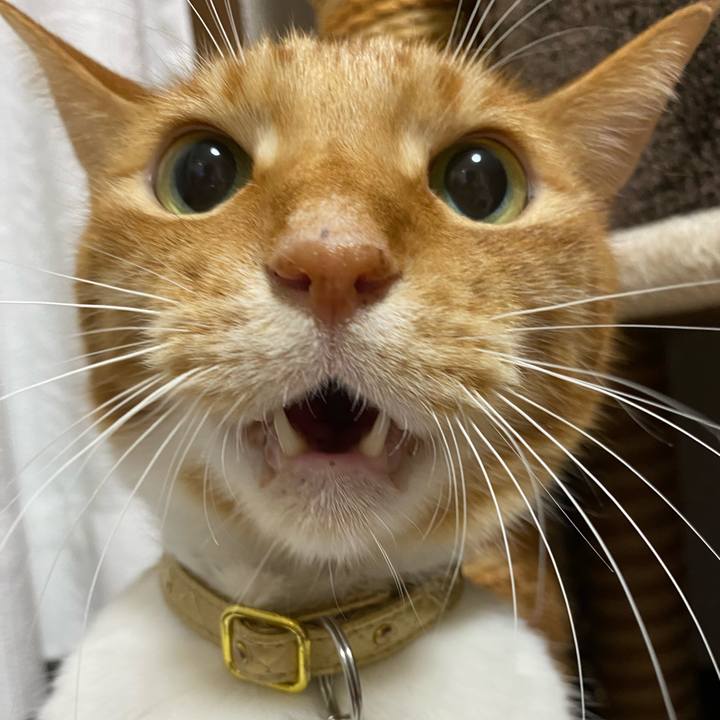 63edaa93 b79a 456d b811 846e8291382b 1725716822258