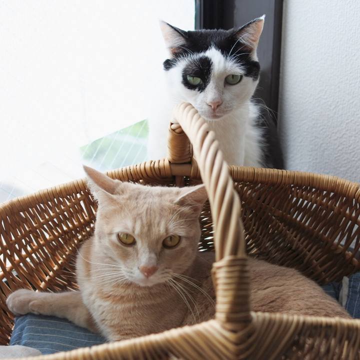 63edf409 1d0b 4e8d 9fe5 20930d65c5ad 1594431984651