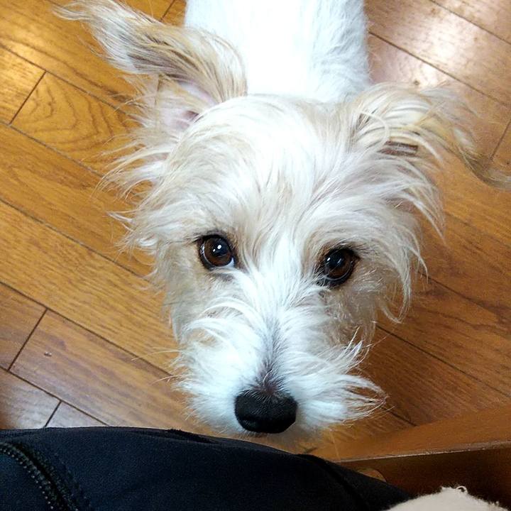 63ee71d0 fe45 4a51 a114 13cbba2f9c72 1572675218906