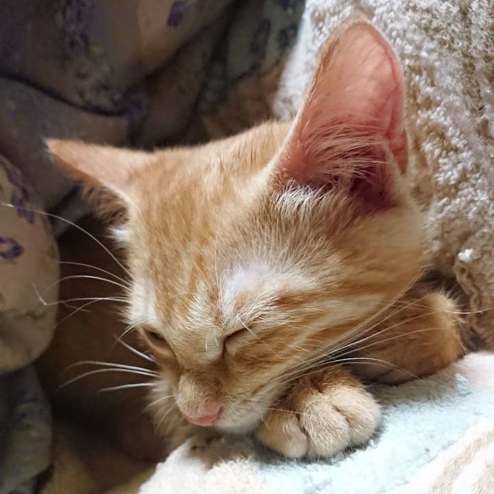 63eeeb61 3518 459d 90a2 f3063608a610 1631450171101