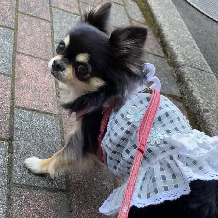 63eef54e 7af3 4005 ad0d b60ae9163aeb 1619057197911