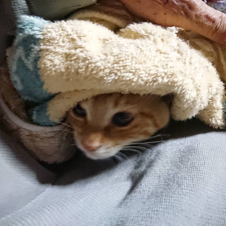 63ef3837 9703 4adf b648 360cda670e07 1633206667599