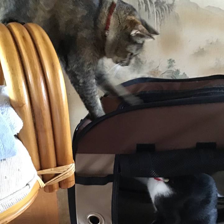 63ef404f 59cb 4890 9d0c 72fef9ff84db 1628833746628