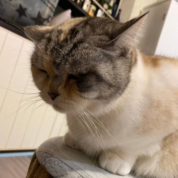 63ef9fb9 85ed 4ad9 b25f 5b2876592654 1646672159673