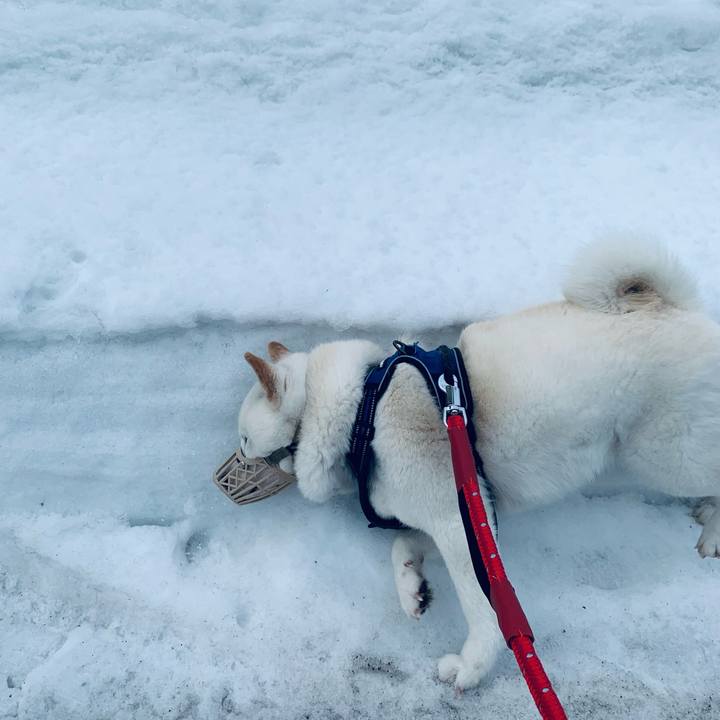 63efc1c5 bef2 4f16 9056 6cce8924960b 1647123341975