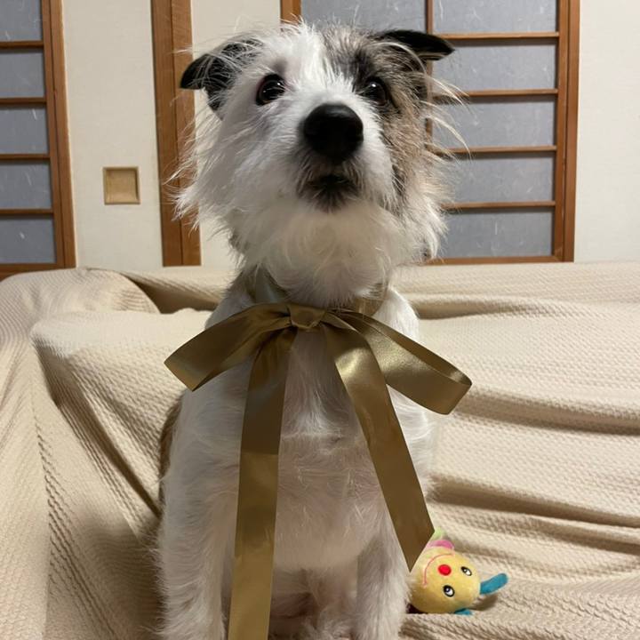 63efdcc3 e98a 4621 a088 576ce31c8746 1615725442548