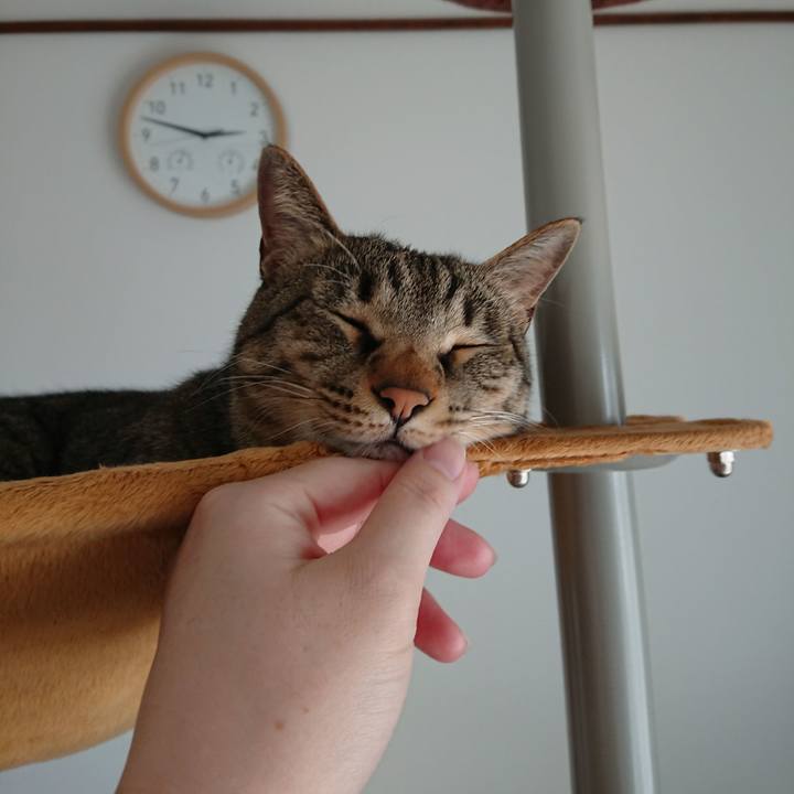 63efdcfd 018d 4003 9359 180552f6b11c 1522561898803