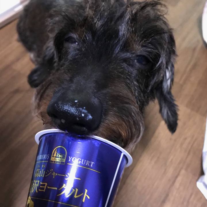 63f0313e a0ca 4db7 8dfa a0b2fb25b749 1538882728888