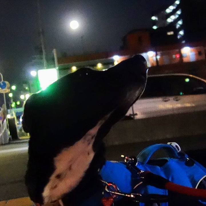 63f03ba4 83d5 48b4 bf33 c2df167d2aae 1614422405725