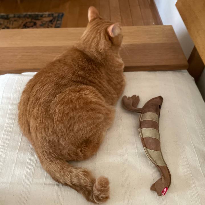 63f058e4 fcf2 4b8b 8307 871bf5602c34 1654384285283