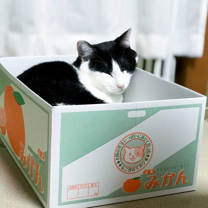 63f06d57 7345 40cb b8ad 773e633480a2 1515681577264