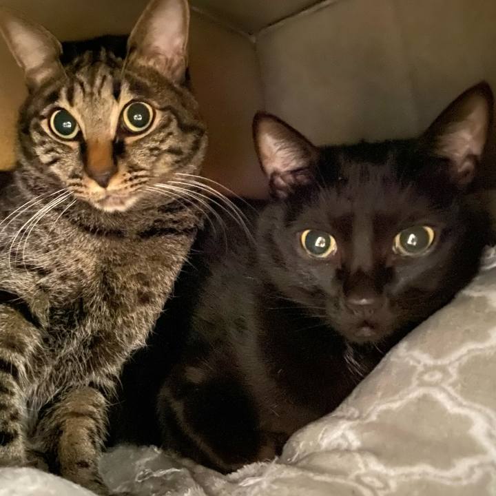 63f103aa a9a4 4f4c a857 7eb68ec84695 1675165190389