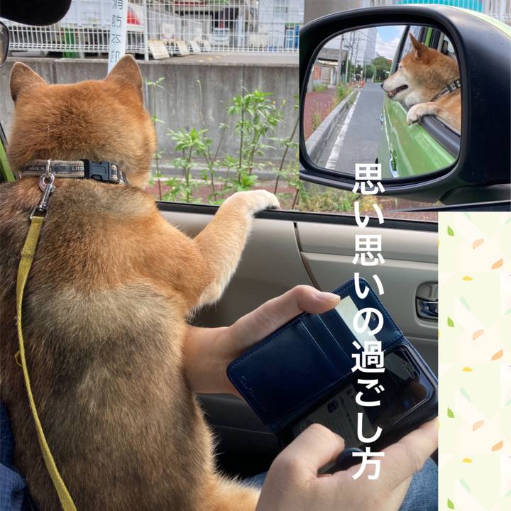 63f10e39 7ad9 4083 b678 fff581a3d9a1 1662261485604