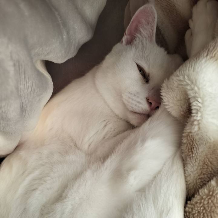 63f11669 435c 494d b5a7 f7eb5581d630 1766974621020