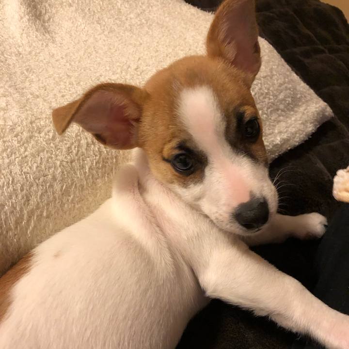 63f15999 d7a0 4887 88e2 fd67c4059042 1545834576520