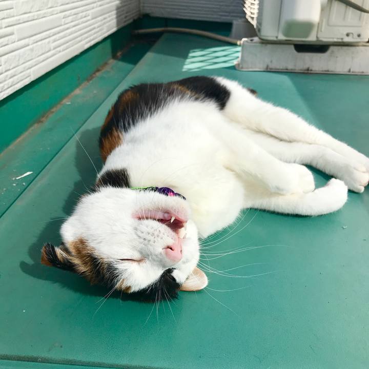 63f17469 94e2 47b7 b0a8 1c09bb95e4ec 1519957288560