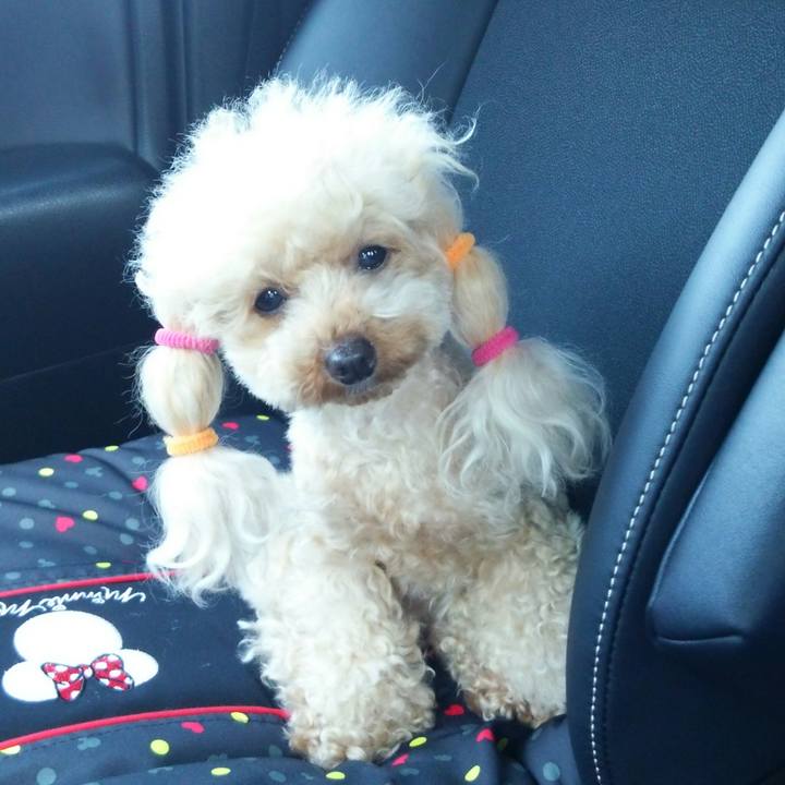 63f1ddf2 6d81 4df7 83a4 cc1605dbfe54 1530443100670