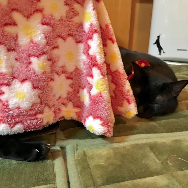 63f1e688 9755 4681 a57b bec54233921e 1508232163058