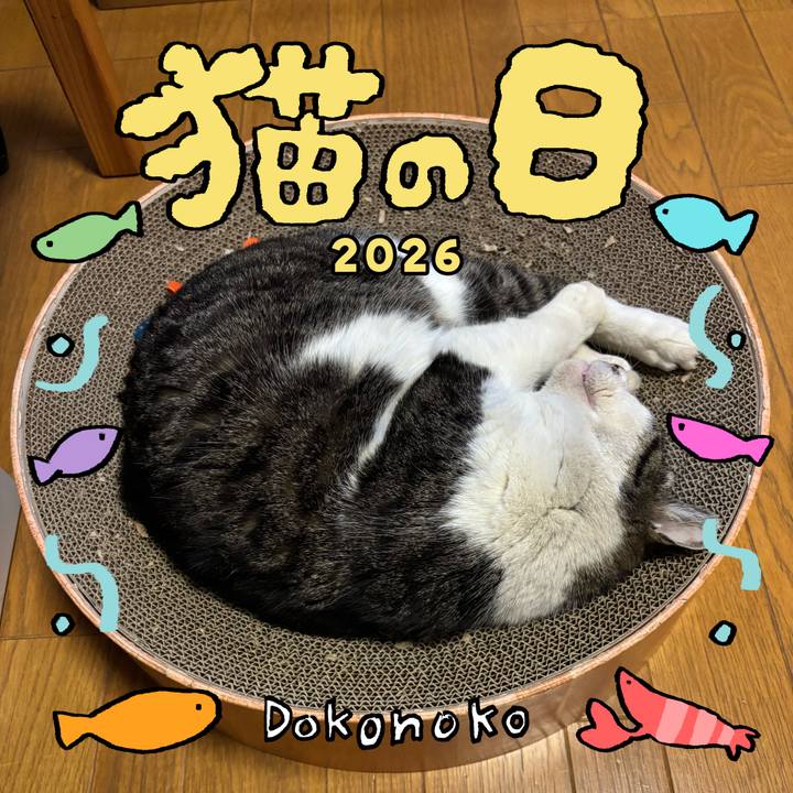 63f21072 4ac8 4d54 811b 38d3e4d21205 1771728324576