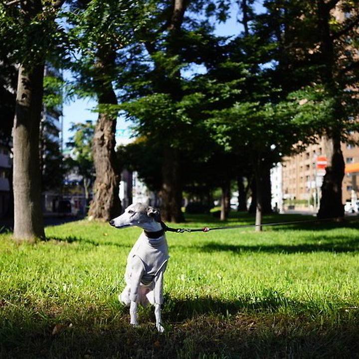 63f22e79 61e2 411a 9718 8cf307d518e4 1541598685536