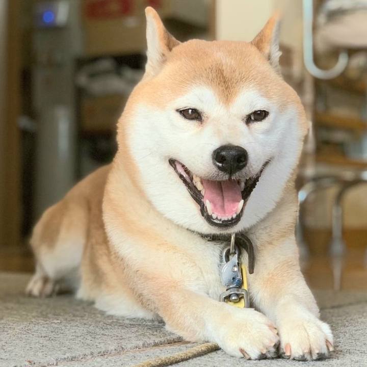 63f24a0a 145a 4358 9afa 6629b55816c3 1632293624338