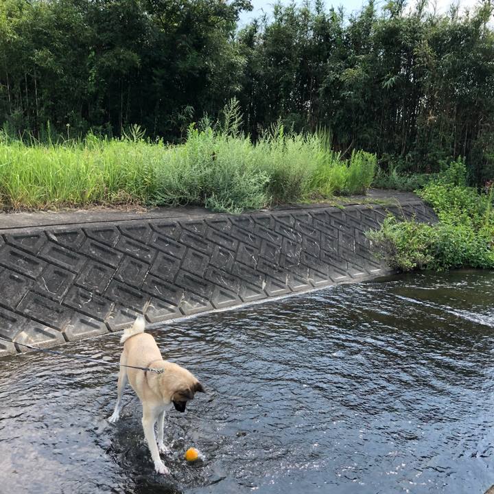 63f26dd0 417f 4b79 af42 a65f2d8cf0ac 1568522689597