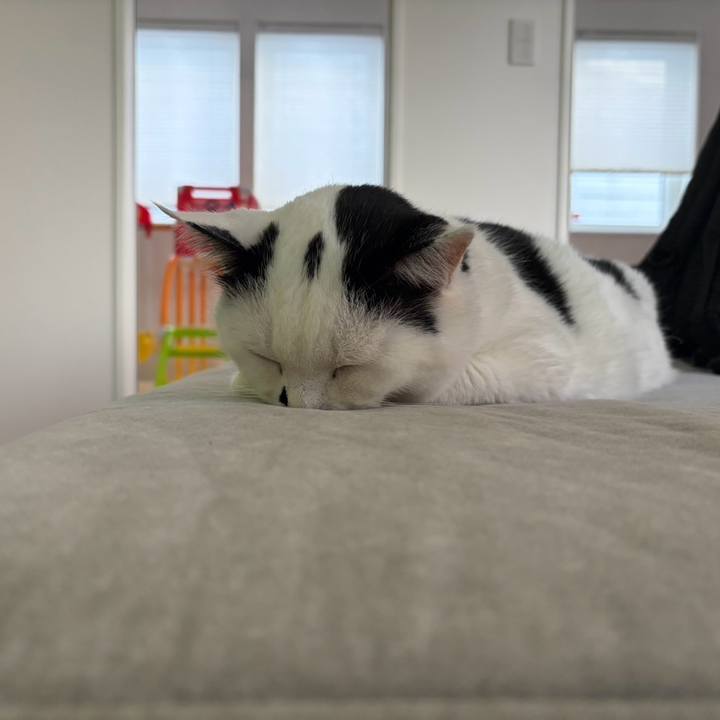 63f28a59 2f19 4a13 8171 e6c767285737 1773226738308