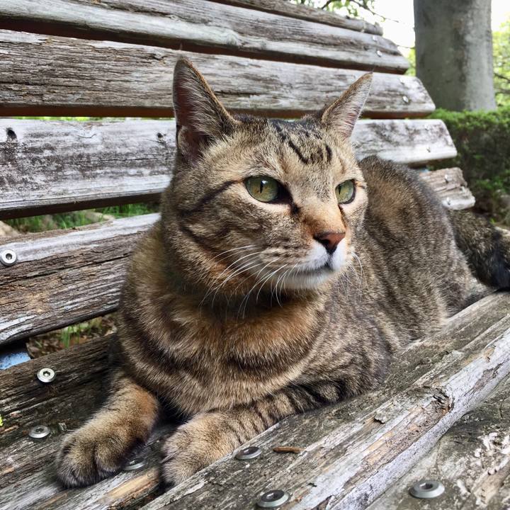 63f29a50 933c 4a76 9f1a c5bf5e345aee 1557996865482