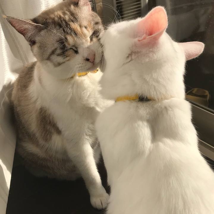 63f2bd13 0580 40b1 95b9 d0be7864a037 1517312616102