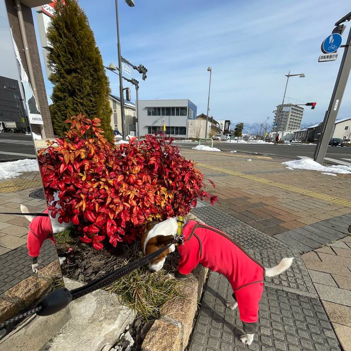 63f2c02e 878e 4689 a973 d72f1361ecfa 1643091452431