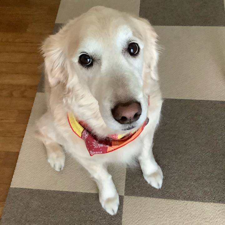 63f2cf74 826d 47fb a314 a9bba9928a5f 1651737270180