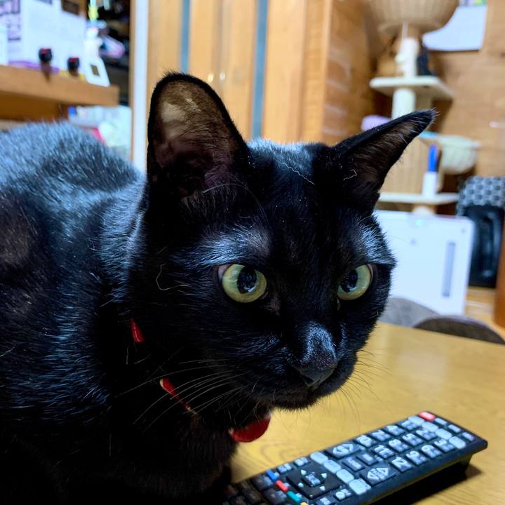 63f2cf80 cf64 40d3 8f4a 9a07f5c01c1d 1586606887208