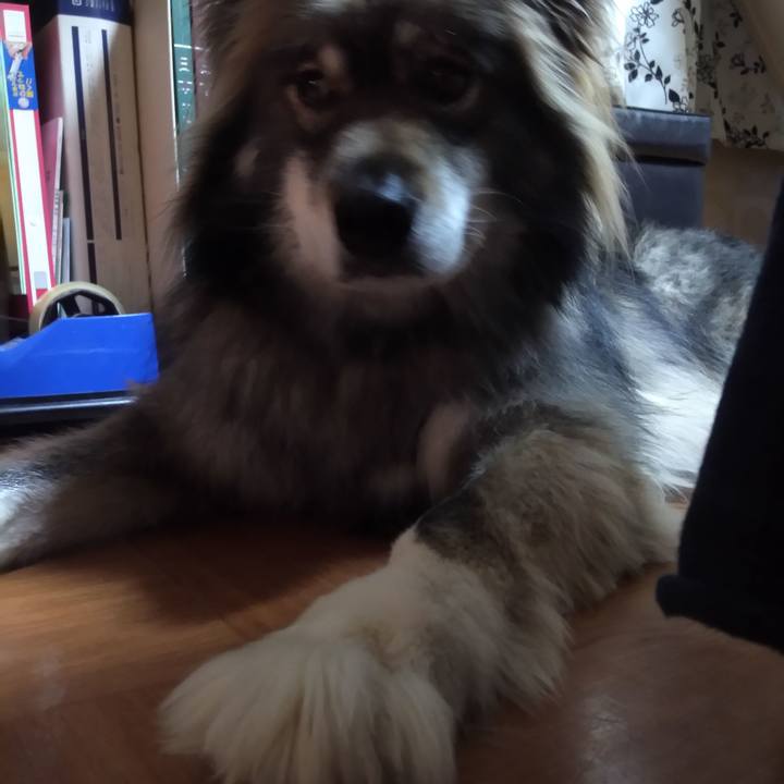 63f2d70f c33b 4d82 bc93 af3b0ce9169e 1583163910126