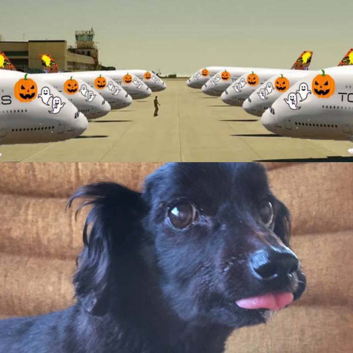 63f2ed28 36a8 4f83 810e ce145f609fc5 1667180508924