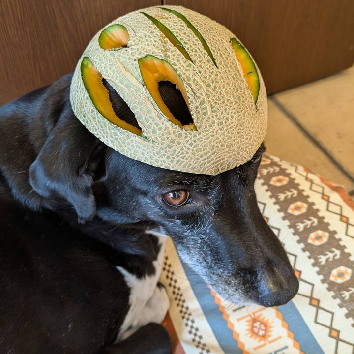 63f2fa41 246b 476c 999a 8a5d7fb88468 1721905821343