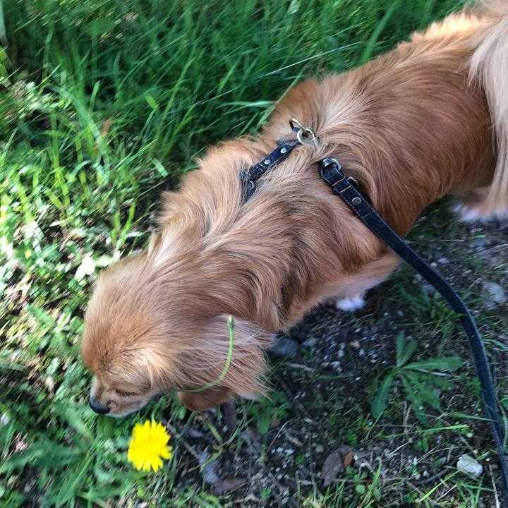 63f3099c 8983 408a a94d 3a41936d5d0e 1527898943323