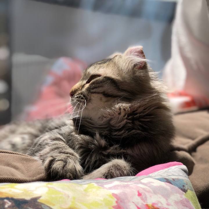 63f3257e a66c 4a23 9c30 2a0609a8514a 1522984022712