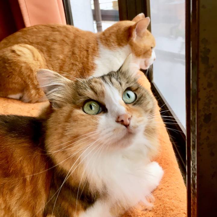 63f33191 d3a7 4663 9162 b8f7dda47599 1563866936485