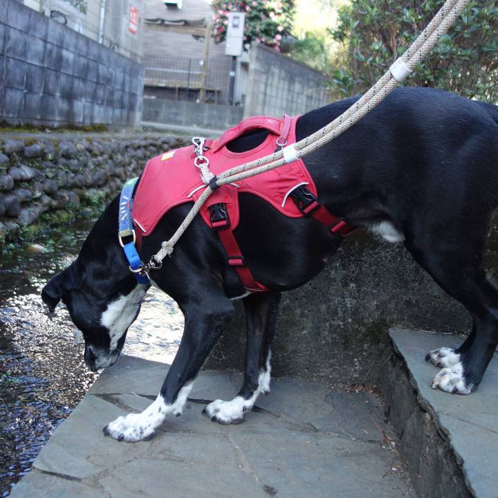 63f332ad ddb0 4fa5 b9c0 c0a5a73eee02 1678843315804