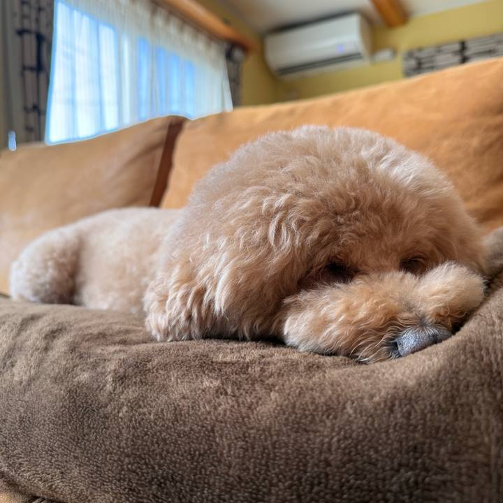 63f342df 972b 4d13 a266 36a9f0e013f8 1774395275912